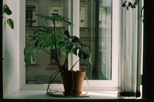 “La casa sostenibile” di Christine Liu, la guida stanza per stanza per una vita eco-friendly